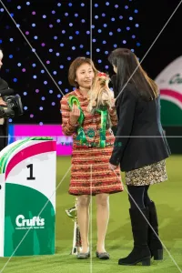 Crufts 2017