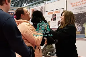 Toy Poodle Prints: Toy Poodle With Public Discover Dogs