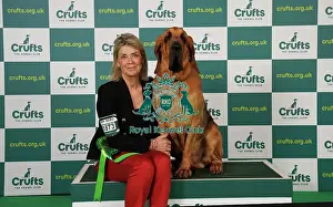 Bloodhound Prints: Tracie Howie from Norwich with Bert