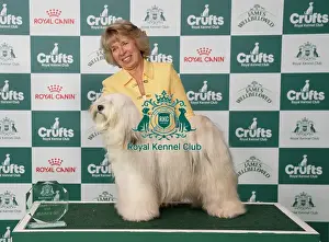 Crufts 2026 Junior Warrant Prints: Tracy Leese with Phoebe runner up the Junior Warrant Competition today (05)