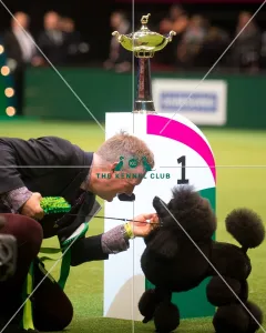 Utility Group winner