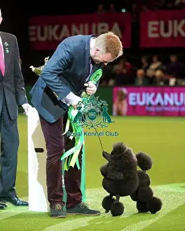 Crufts 2015 Prints: Utility Group winner
