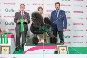 Utility Group winner