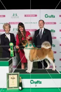 Utility Group winner