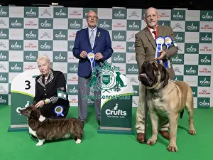 Fourth Place Prints: Vulnerable Breeds Competion 3rd placed