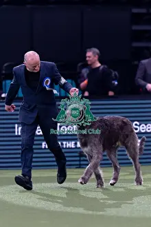 Irish Wolfhound Prints: Vulnerable Breeds Competion Winner Roger Tebburtt with Tozzie an Irish Wolfhound