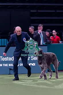 Irish Wolfhound Prints: Vulnerable Breeds Competion Winner Roger Tebburtt with Tozzie an Irish Wolfhound