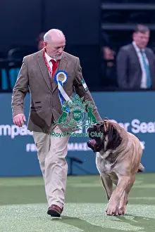 Fourth Place Prints: Vulnerable Breeds Competition Final