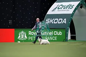 Crufts 2026 Main Arena Prints: Vulnerable Breeds Competition Final
