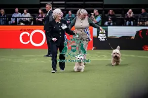 Crufts 2026 Main Arena Prints: Vulnerable Breeds Competition Final