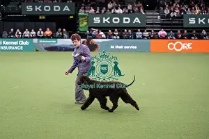 Crufts 2026 Main Arena Prints: Vulnerable Breeds Competition Final