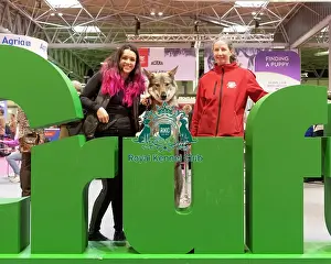 Vulric - Czechoslovakian Wolf Dog with Rachel Bailey and Lora Mi