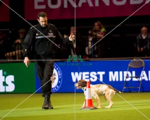 West Midlands Police Display