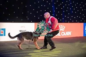 West Midlands Police Dog Display Prints: West Midlands Police dog Display