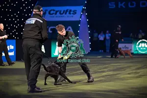 West Midlands Police Dog Display Prints: West Midlands Police dog Display