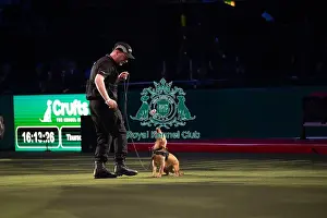 West Midlands Police Dog Display Prints: West Midlands Police dog Display