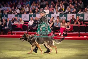 West Midlands Police Dog Display Prints: West Midlands Police dog Display