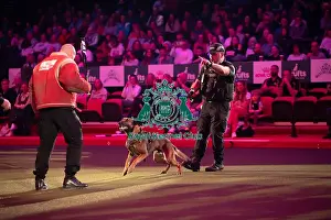 West Midlands Police Dog Display Prints: West Midlands Police dog Display