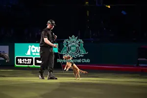 West Midlands Police Dog Display Prints: West Midlands Police dog Display