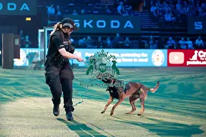 West Midlands Police Dog Display Prints: West Midlands Police dog Display