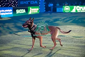 West Midlands Police dog Display