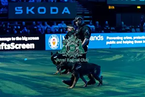 West Midlands Police Dog Unit Display in action