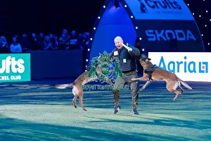 West Midlands Police Dog Unit Display Prints: West Midlands Police Dog Unit Display in action