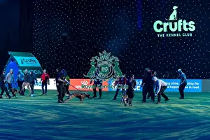West Midlands Police Dog Unit Display in action