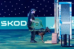 West Midlands Police Dog Unit Display Prints: West Midlands Police Dog Unit Display in action