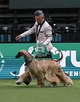 Willy Santiago, from Miami, USA