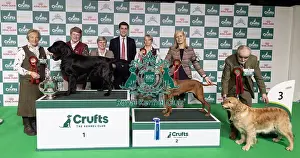 Winner of the Best in Gamekeeper Classes (L)