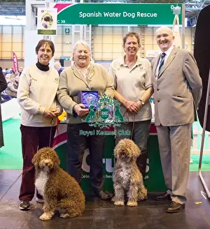 2015 Prints: Winner of breeder club stand