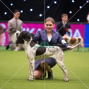 winner Dasha Moiseeva