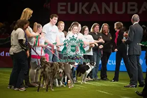 Flyball Prints: Winner Flyball Finals