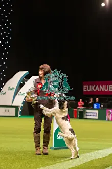 Winner of Gamekeepers