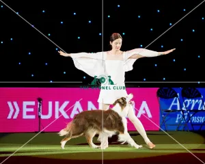 Heelwork
