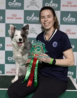 Border Collie Prints: Winner of the International Invitational Large Agility Final Perry Dewitt from the USA with Genuine