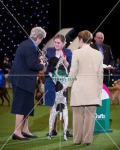 winner Dasha Moiseeva