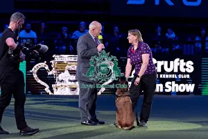Belgian Shepherd Dog Malinois Prints: Winner of the Kennel Club Hero Dog Award Mandy Chapman with Baloo