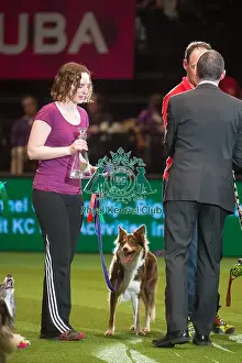Winner large AG CH Rujaff Red Hot Scandal