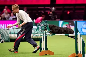 Crufts 2016 Prints: winner large KC Novice Cup