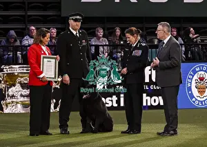 Pippa Mills Prints: Winner of the Police Dog Team Operational & humanitarian Action of the Year Award Toby Spires with Tsar