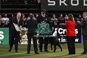 Pippa Mills Prints: Winner of the Police Dog Team Operational & humanitarian Action of the Year Award Toby Spires with Tsar