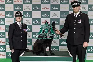 Toby Spires Prints: Winner of the Police Dog Team Operational & humanitarian Action of the Year Award Toby Spires with Tsar today