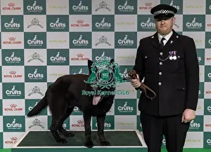 Toby Spires Prints: Winner of the Police Dog Team Operational & humanitarian Action of the Year Award Toby Spires with Tsar today