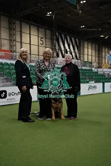 Thursday Prints: Winner of Rally Dog Awards - Outstanding Award - Levels 5&6 Winner of Rally Dog Awards - Outstanding Award - Levels