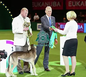 Winner ribbon. Trine Haga