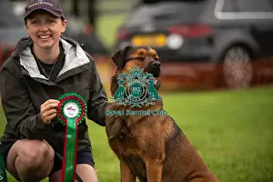 Most Handsome Crossbreed Dog Prints: Winners_at_Scruffts_All_About_Dogs_Cornwall