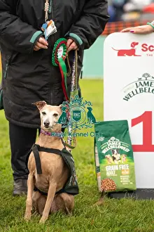 Winners_at_Scruffts_All_About_Dogs_Cornwall