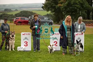 Good Citizen Dog Scheme Prints: Winners_at_Scruffts_All_About_Dogs_Cornwall